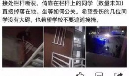 郑州跳楼最新爆料,真相与疑云交织