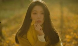 圈内爆料陈瑶,揭秘娱乐圈不为人知的幕后故事