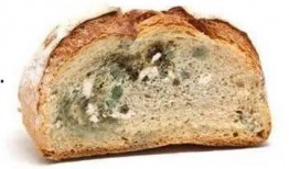 如何爆料发霉的食品呢视频,如何有效爆料发霉食品