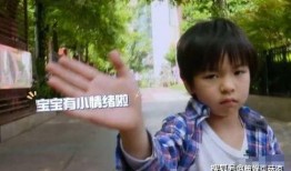 张庭被儿子爆料视频大全,视频大全曝光惊人内幕