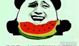 吃瓜群众娱乐吧,揭秘娱乐圈幕后故事，带你领略明星真实生活