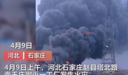 王庄最新爆料消息新闻,揭秘事件背后惊人真相