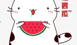 经典吃瓜表情包下载免费,轻松get潮流表情包！