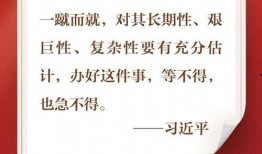 新闻共同体爆料,揭秘重大事件背后真相