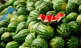 韩国网红e吃瓜,揭秘韩国网红圈幕后故事