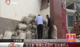 大理民生事件爆料视频播放,视频揭露背后真相