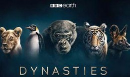 动物世界2在线观看,探秘未知，续写生命传奇