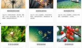 怎么制作爆料小说视频呢,揭秘爆料小说视频制作全攻略