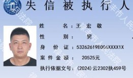 禄丰新闻爆料电话,揭秘本地新鲜事，一键掌握资讯脉搏