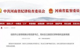 信阳市新闻爆料电话号码,揭秘市民身边事，一键直通爆料平台