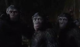 人猿崛起在线观看,探索人类进化奥秘的视觉之旅