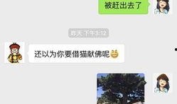 新闻哥爆料,揭秘事件背后惊人真相