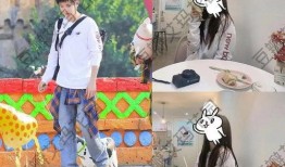 海王小三爆料视频播放,揭秘娱乐圈惊天秘闻