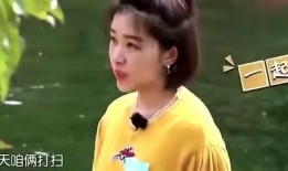 娱乐圈以前节目爆料,揭秘明星背后的秘密与真相