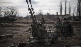 张大炮最新爆料新闻