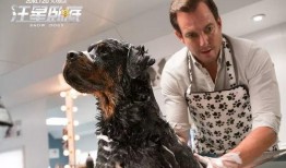 老汪爆料虎豹视频大全集