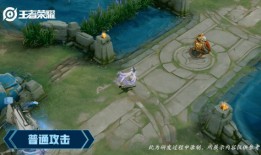 王者白晶晶最新爆料