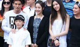 宋妍菲最新爆料新闻,揭秘娱乐圈惊人内幕