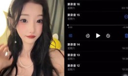 少女神探李恩爆料视频,神秘视频背后的惊人真相