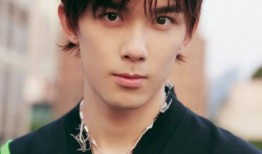 吴磊积分爆料视频大全最新,揭秘明星背后的奋斗与成长