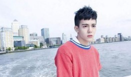 曾舜晞女朋友爆料视频,揭秘明星恋情背后的真相