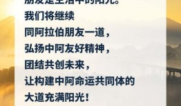 新闻共同体爆料,揭秘重大事件背后真相