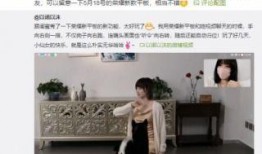 仆人v6最新爆料,揭秘全新功能与升级亮点