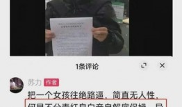 实名爆料何炅视频下载,实名爆料背后的真相