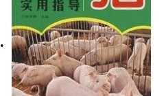 爆料科学养猪视频大全集