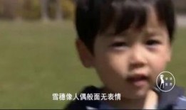 白夜行在线观看完整版,揭秘黑暗中的光明救赎之旅