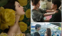 嘎纳夫妻爆料事件视频大全,视频大全揭秘惊人内幕