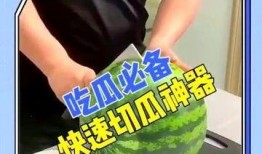 吃瓜拍照神器推荐免费,免费吃瓜拍照，轻松成为朋友圈焦点！