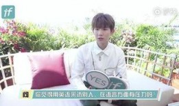 王源被爆料完整视频,真相与争议并存