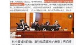 律师李庄爆料是真的吗视频,真相究竟如何？