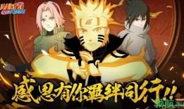 火影权威爆料视频大全最新,揭秘最新剧情与角色动向