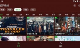 爆料网八卦在线观看视频下载安装,视频下载安装攻略全解析