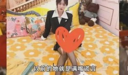 网红女博主爆料视频播放,视频播放背后的惊人真相