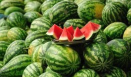 吃瓜事件网红2024,网络风云再起